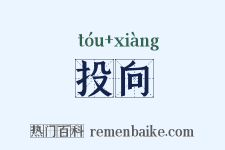 投向是什么意思的图片